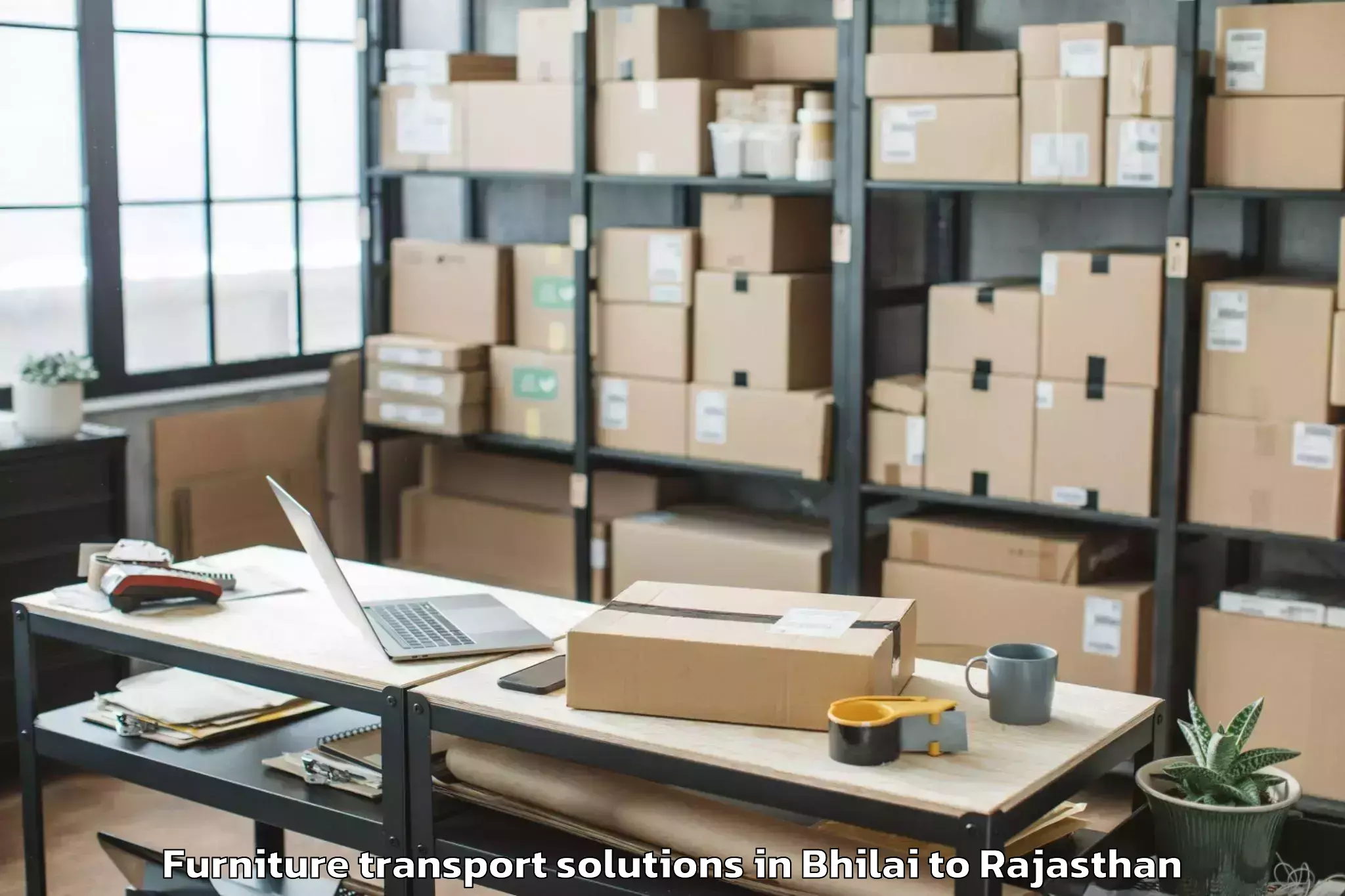 Discover Bhilai to Asind Furniture Transport Solutions